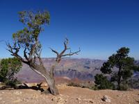 Grand Canyon - Desert View