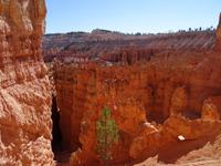 Bryce Canyon - am Sunset Point