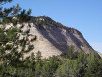 Zion Nationalpark - Checkerboard Mesa