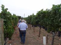 Napa - Weinverkostung