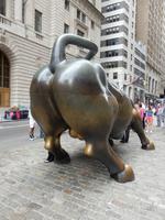 Charging Bull 