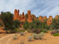Red Canyon