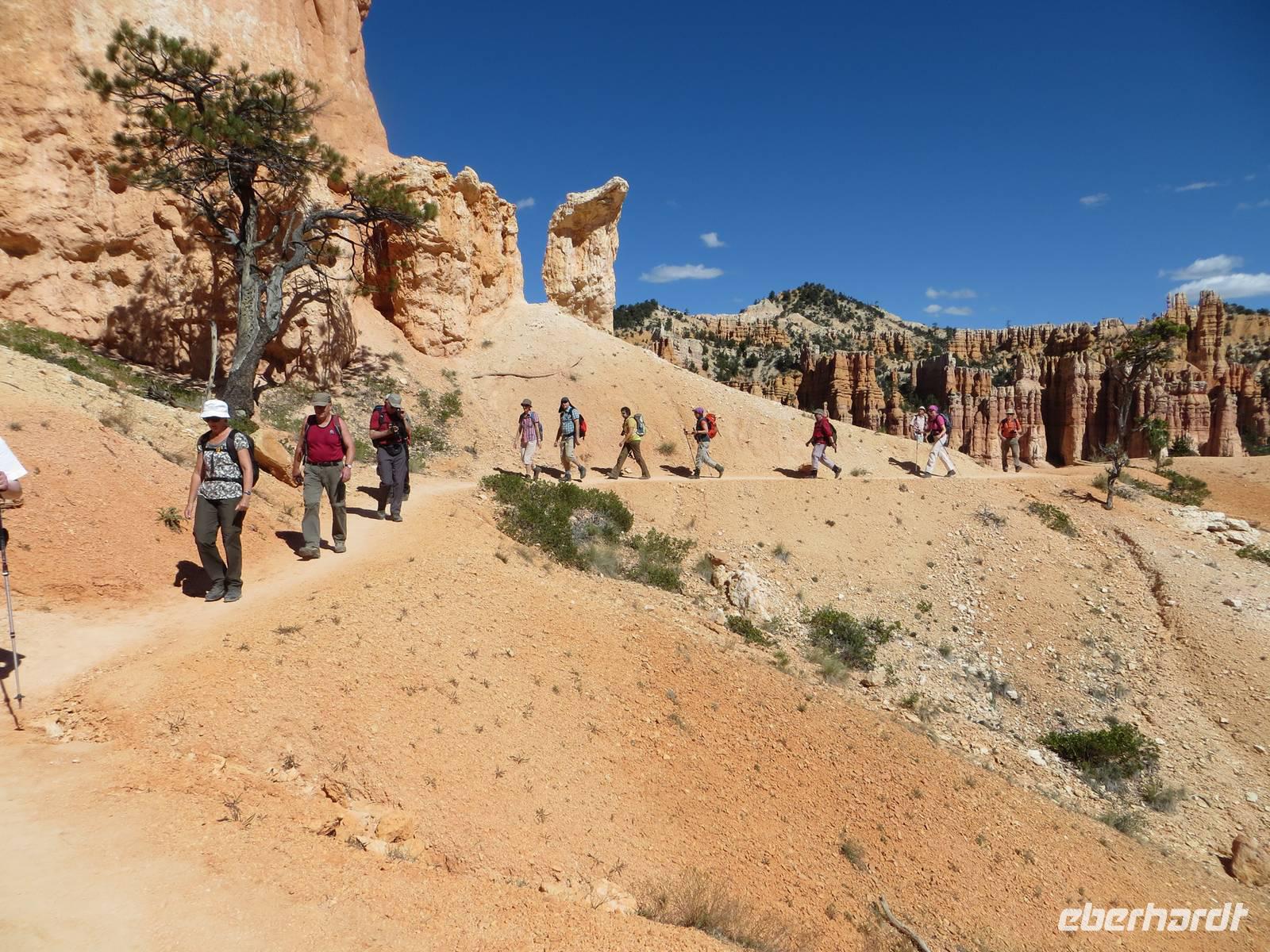 Eberhardt Gäste 2015 auf dem Fairylandtrail