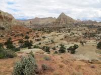 im Capitol Reef NP