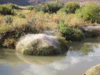 Morgenstimmung im Arches NP