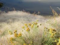 Morgenstimmung im Arches NP