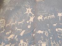 Petroglyphs im Canyonland