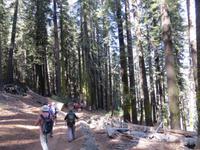 Abstieg vom Glacier Point