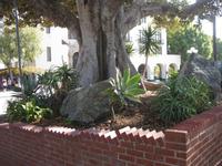 Los Angeles - Altstadt rund um die Olvera Street 