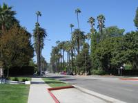 Straße in Beverly Hills