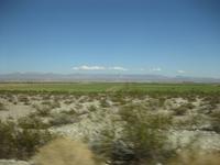 Wir nähern uns dem Colorado - es wird etwas grüner  