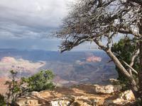 Grand Canyon Nationalpark am Desert View Point 