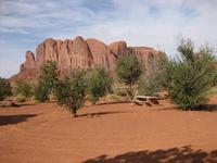 Am Picknick-Platz im Monument Valley