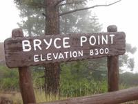 Bryce Canyon Nationalpark - Stopp am Bryce Point, dem höchsten Punkt im Nationalpark  