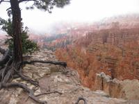 Bryce Canyon