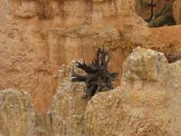 Bryce Canyon - Am Fairyland Point