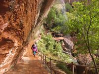 Wanderweg und Wasserfälle im Zion Nationalpark
