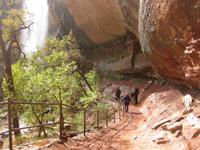 Wasserfall und Wanderweg im Zion Nationalpark