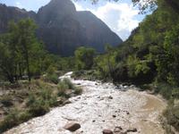 Virgin River im Zion Nationalpark
