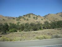 Auf dem Interstate Highway Nr. 99 Richtung Bakersfield 