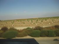 Auf dem Interstate Highway Nr. 99 durch das fruchtbare Central Valley