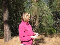 Im Yosemite Nationalpark