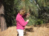 Im Yosemite Nationalpark