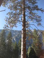 Im Yosemite Nationalpark