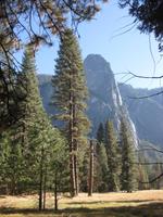 Im Yosemite Nationalpark