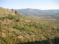 Yosemite Nationalpark