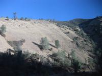 Wir verlassen den Yosemite Nationalpark 