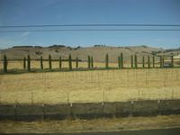 Auf der Fahrt in die Weinregion Kalifornien