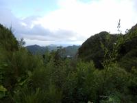 Nu´uanu Pali Aussichtspunkt 