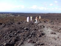 Aussichtspunkt auf Big Island 