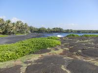 Punalu´u Black Sand Beach Park 
