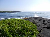Punalu´u Black Sand Beach Park 