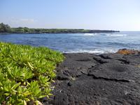 Punalu´u Black Sand Beach Park 