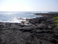 Punalu´u Black Sand Beach Park 
