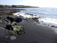 Punalu´u Black Sand Beach Park 