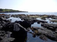 Punalu´u Black Sand Beach Park 