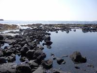 Punalu´u Black Sand Beach Park 