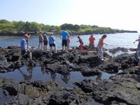 Punalu´u Black Sand Beach Park 