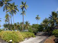 Pu´uhonua´o Honaunau