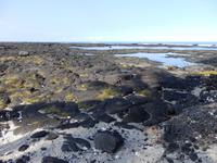 Pu´uhonua´o Honaunau