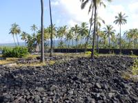 Pu´uhonua´o Honaunau
