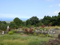 An der Painted Church