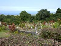 An der Painted Church