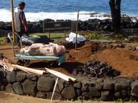 Zubereitung eines Kalua Pork