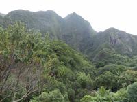 Iao Tal