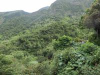 Iao Tal